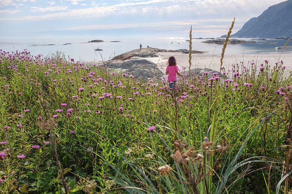 Jente i rosa vandrar gjennom ei eng med rosa blomar ned mot ei sandstrand. Foto.