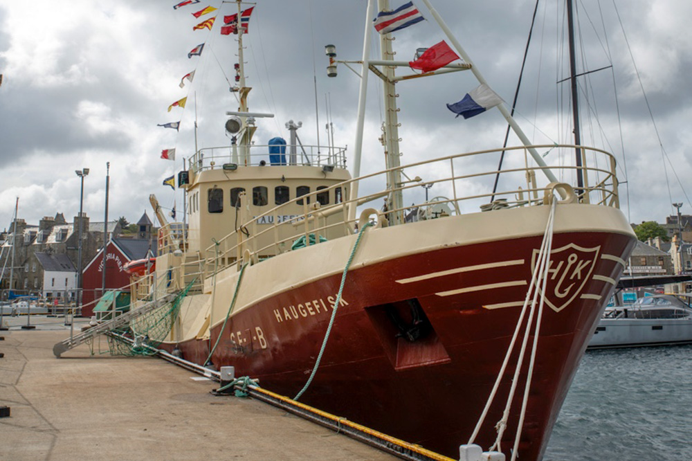 Haugefisk ved kai på Shetland.