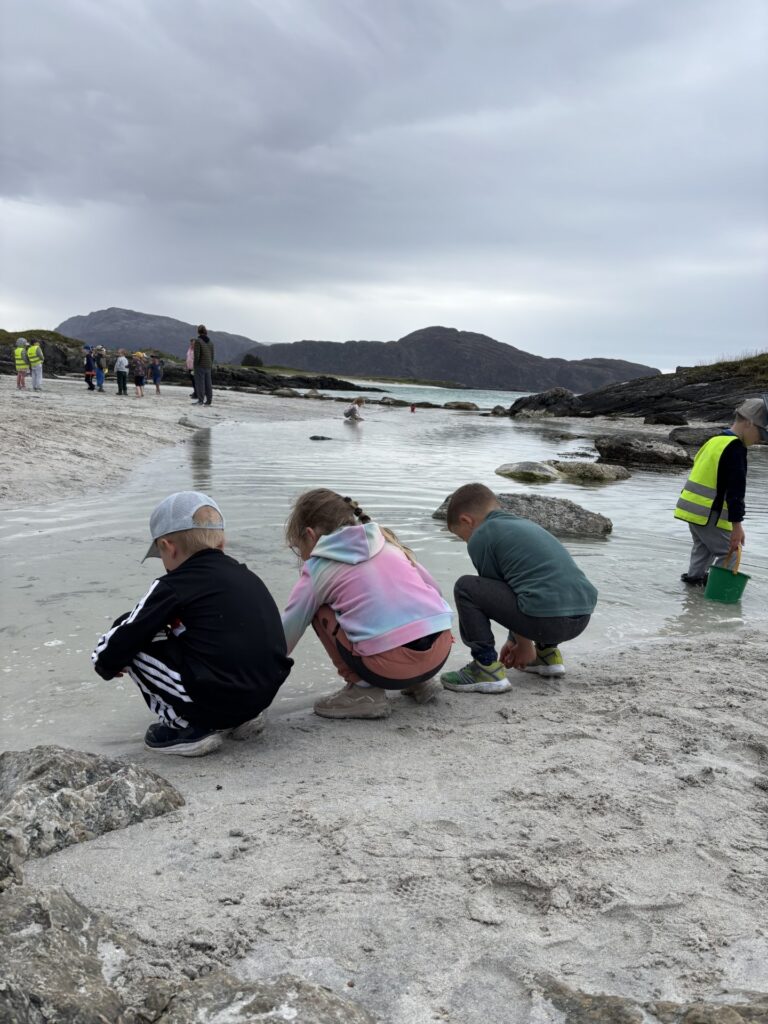Fotografi av barn som står på huk i strandkanten og leikar. 
