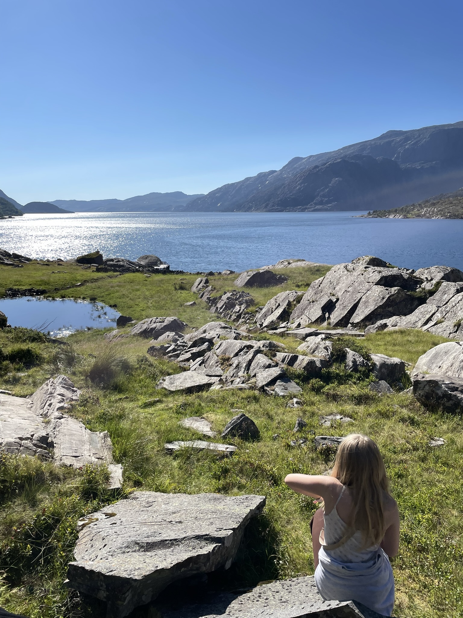 Idylliske Vingen.